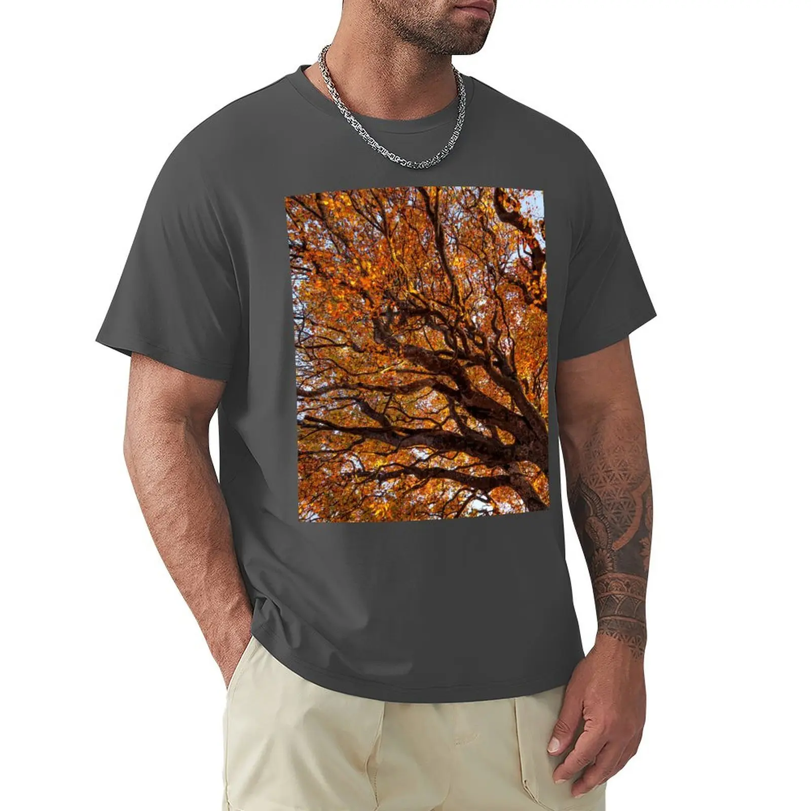 

Beautiful Autumn Trees against the sky T-Shirt customs design your own Blouse black t-shirts for men