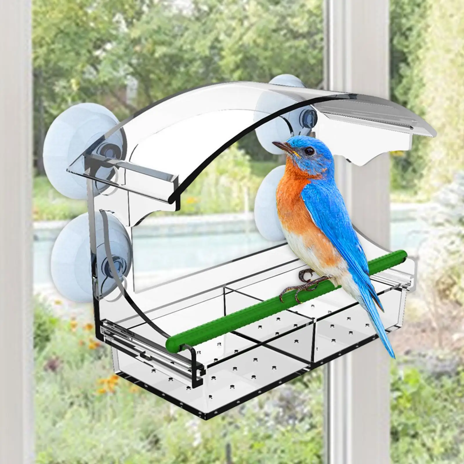 Clear Bird Feeder for Window Balcony Glass Mount Viewing Wild Birds Outside Durable Bird House Acrylic with Strong Suction Cups