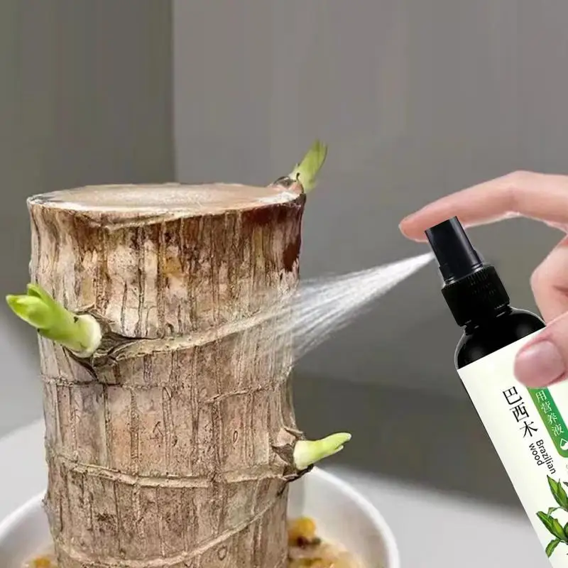 Brazilian Wood Hydroponic Fertilizer 100ml Brazilian Wood Houseplant Plant Fertilizer Indoor Plant For Lucky
