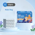 Male Dog 3-7.5kg