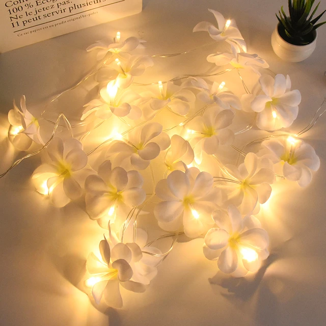 Guirlande Lumineuse Fleurs Artificielles Led Plumeria - Lumire De Fleur De  Frangipanier En Mousse Hawaenne, Fte De Mariage D'anniversaire Alimente P