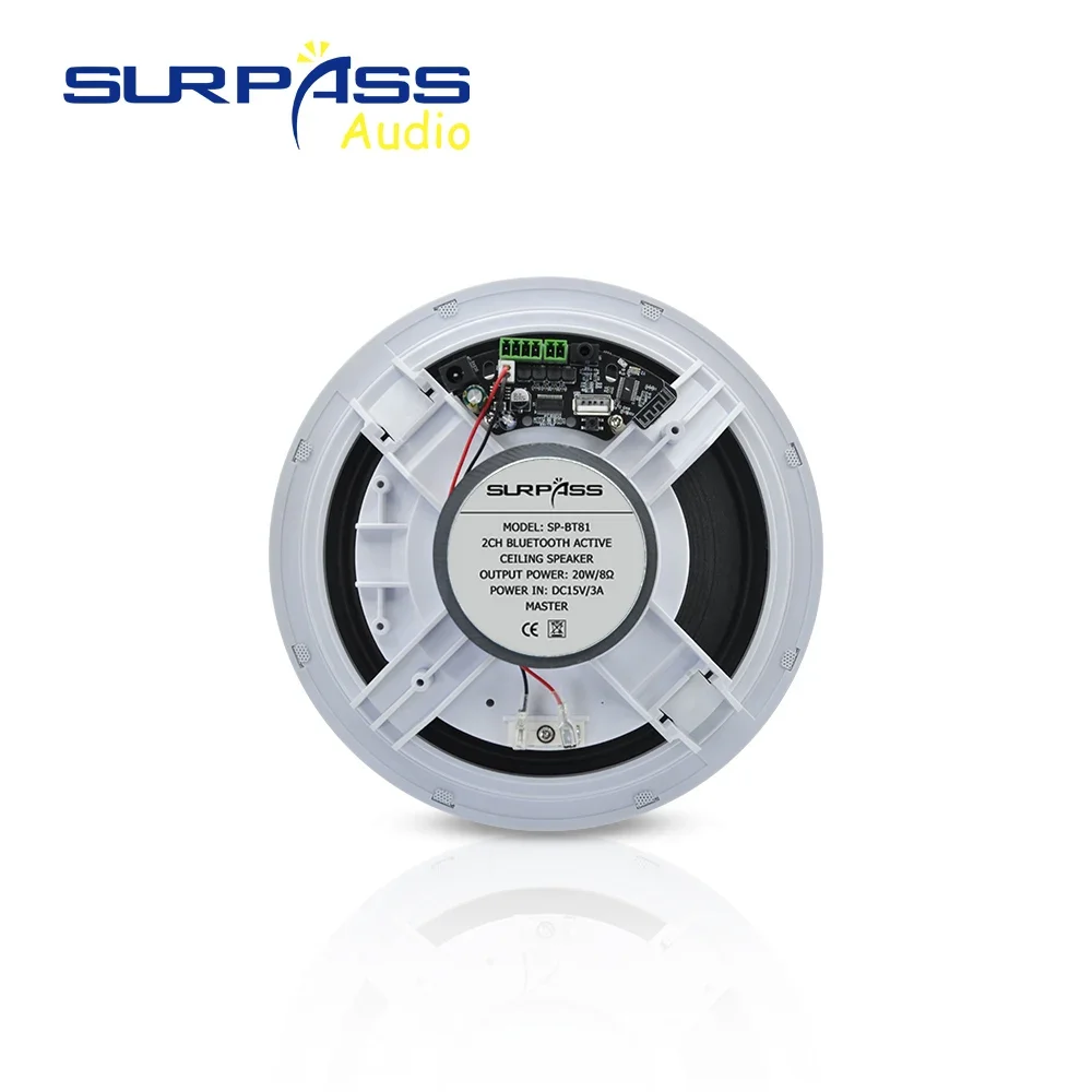 Home Sound System 8 Inch Bluetooth Framless Active 20W Ceiling Speaker Built-in Class D Amplifier ABS Material for Apartments 6