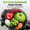 Cold Press Juicer, Slow Masticating Machines with 5.4" Extra Large Feed Chute Fit Whole Fruits & Vegetables Easy Clean Sel 2