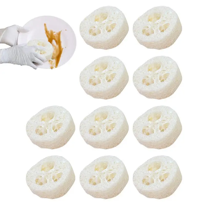 

Natural Loofah Luffa Loofa Slices Natural Loofah Slices For Soap Making 10 Pieces Loofah Sponge Natural Loofah Soap Hamster Chew