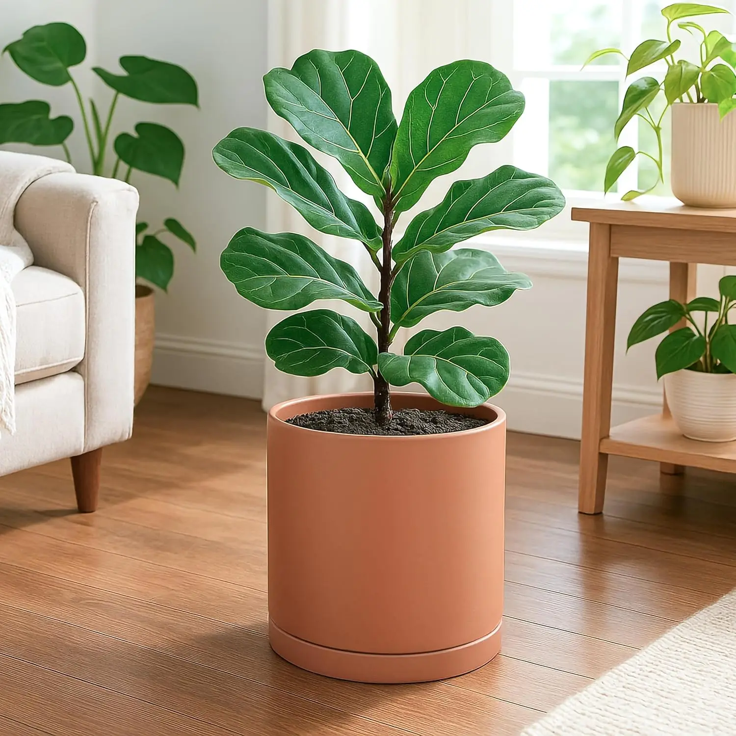 Terracotta planter with drainage and saucer