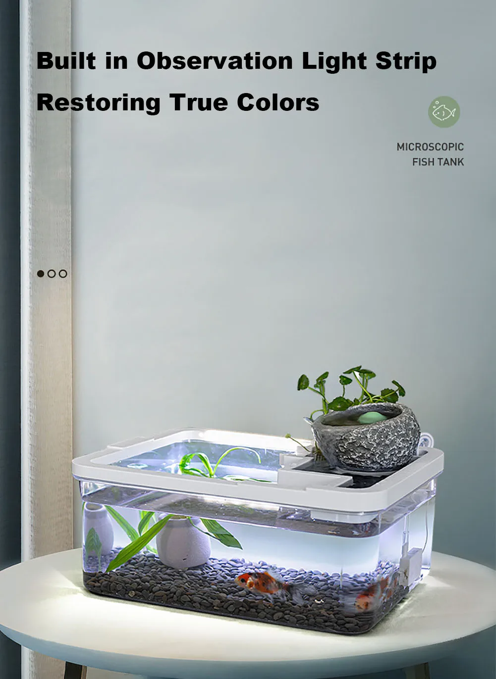 Title 5, Fish Tank Micro Landscape Mini Aquarium Cylinde...