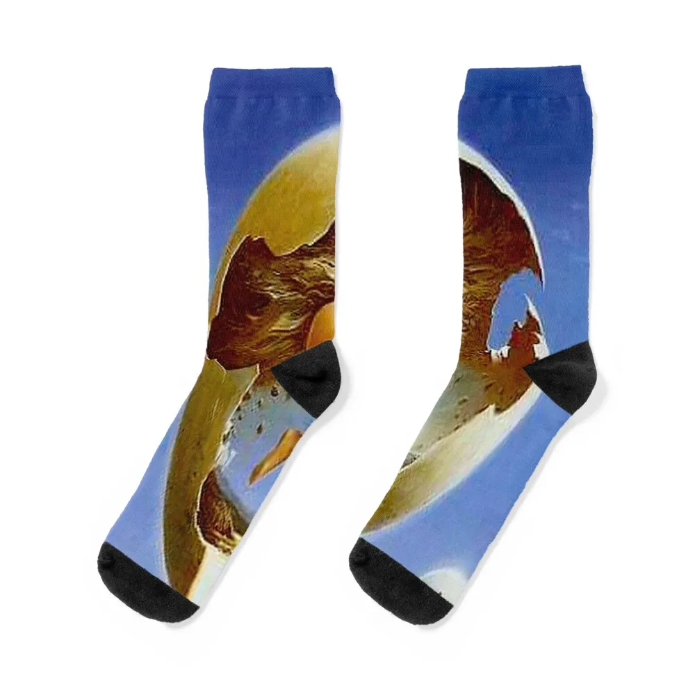 

BIRTH : Vintage Surreal Egg Print Socks new year christmas gift kids men cotton high quality Men Socks Luxury Brand Women's