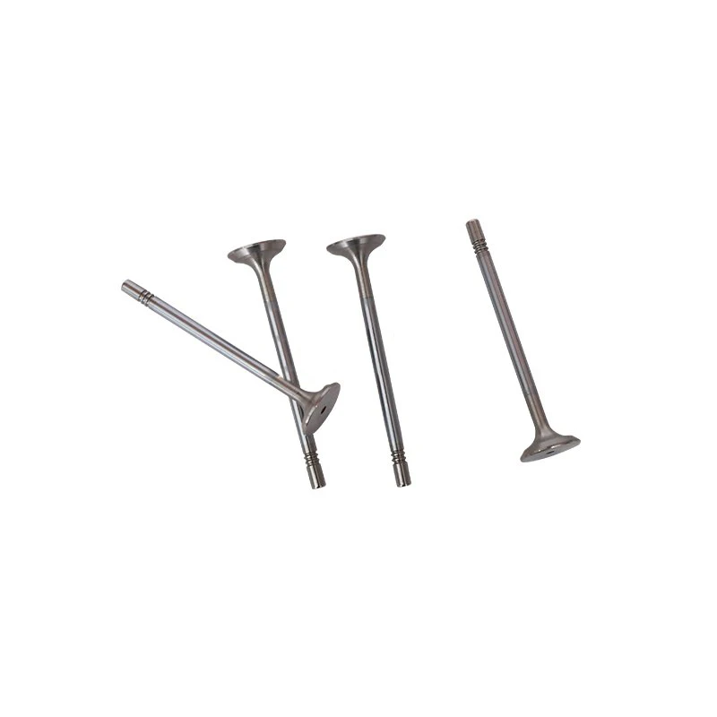 

4PCS Truck Exhaust Valve PV10001496 for Aucan Diesel Engine Part