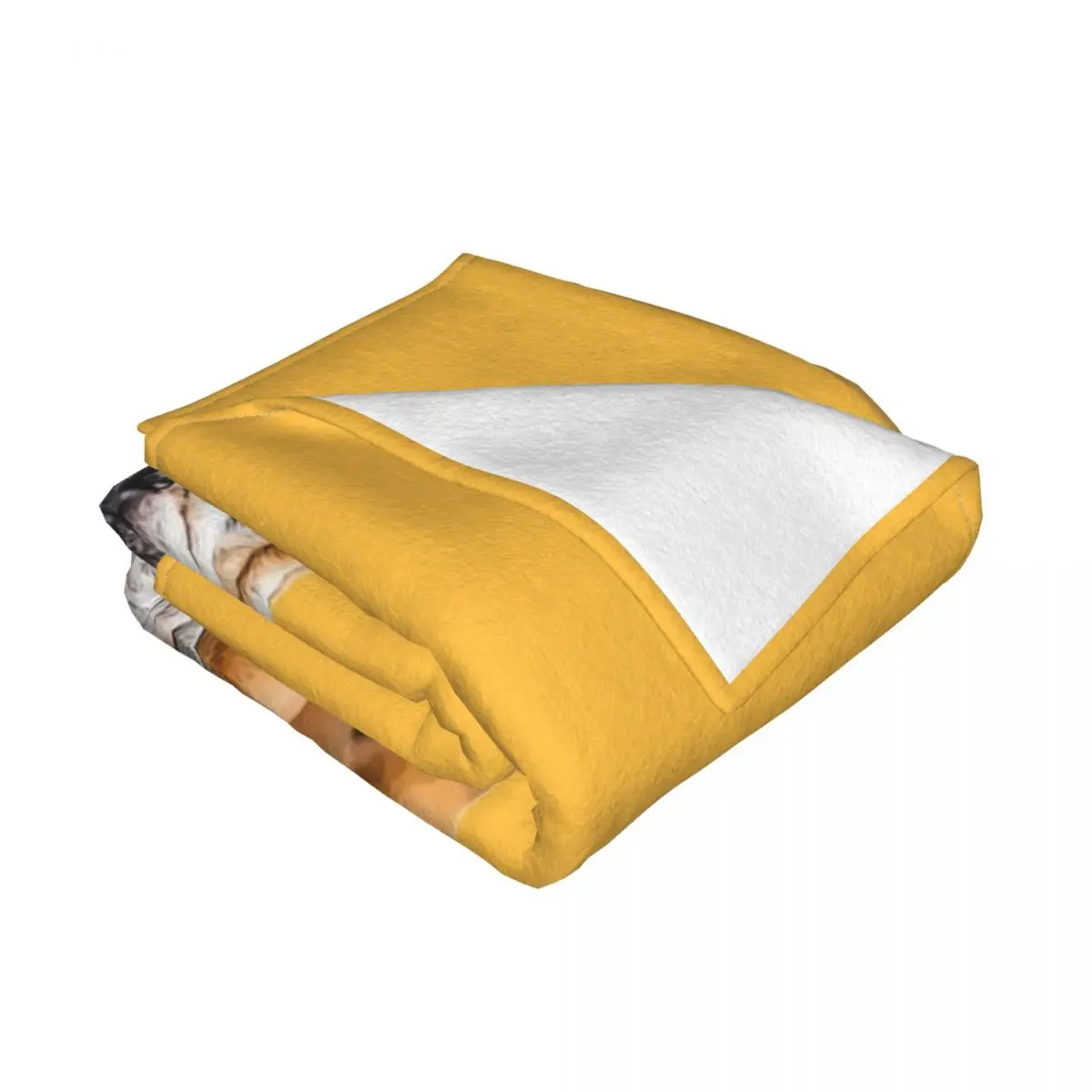 �ҵ� ������Ʈ ���� ������ �̱� ��� �ö��� ���� ���� �ҵ� �� ���� ���� ħ�� ���