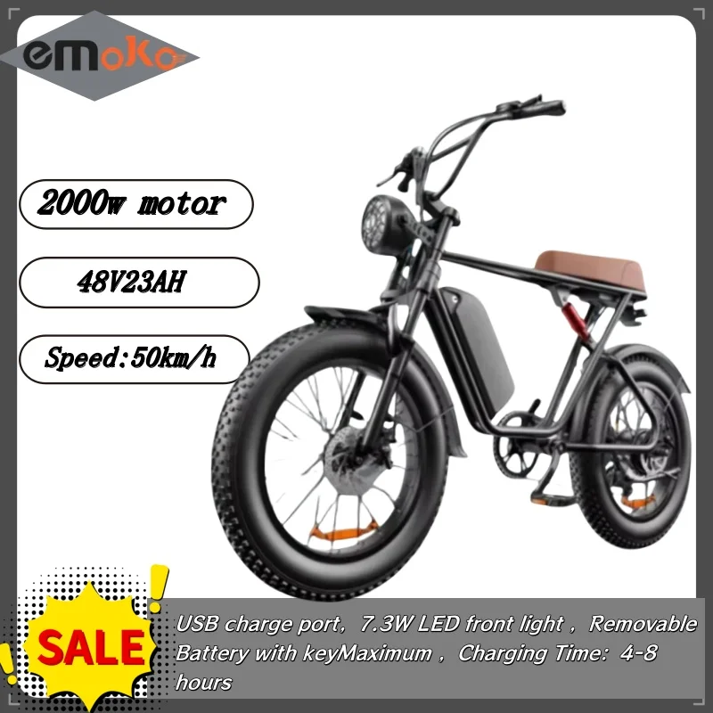 Electric bike C91 powerful 2000w dual motor 48v 20ah lithium battery Electric Bicycle 20 inch fat tire mountain off-road E-bike