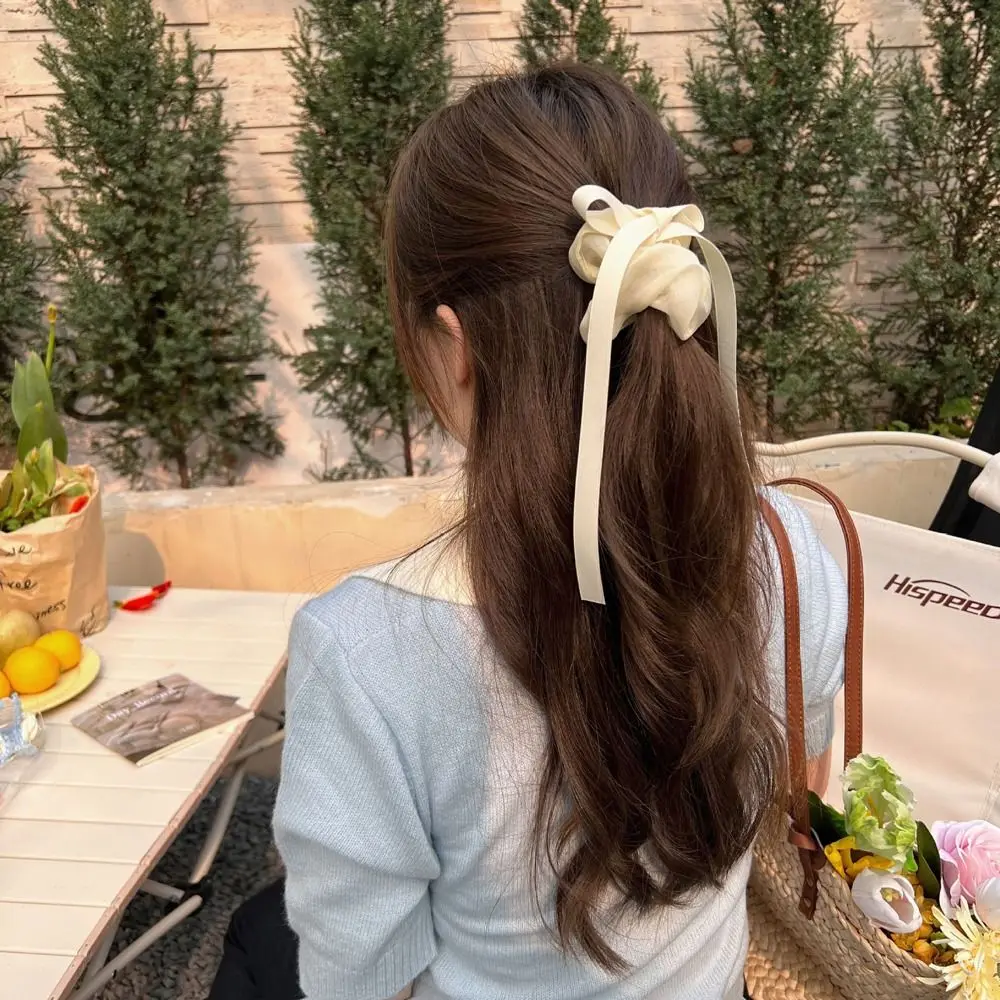 Stylish Hair Ropes Mesh French Style Scrunchies Tassel Women Balletcore Scrunchies Ribbon Bow Hair Ties Hair Rubber Bands stylish hair ropes mesh french style scrunchies tassel women balletcore scrunchies ribbon bow hair ties hair rubber bands