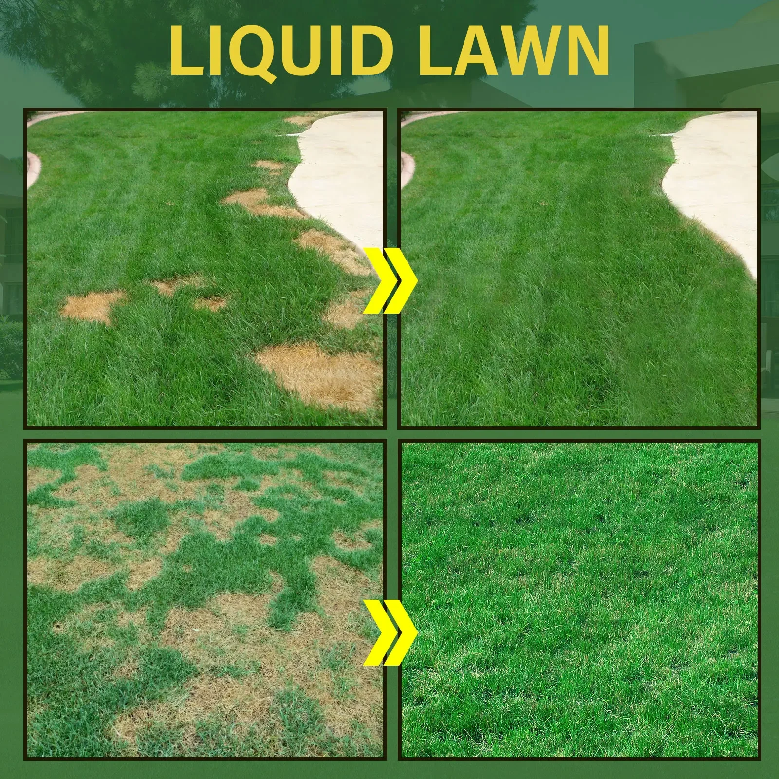 Green Grass Lawn Spray Household Seeding System Liquid Spray Seed Lawn Care Grass Shots