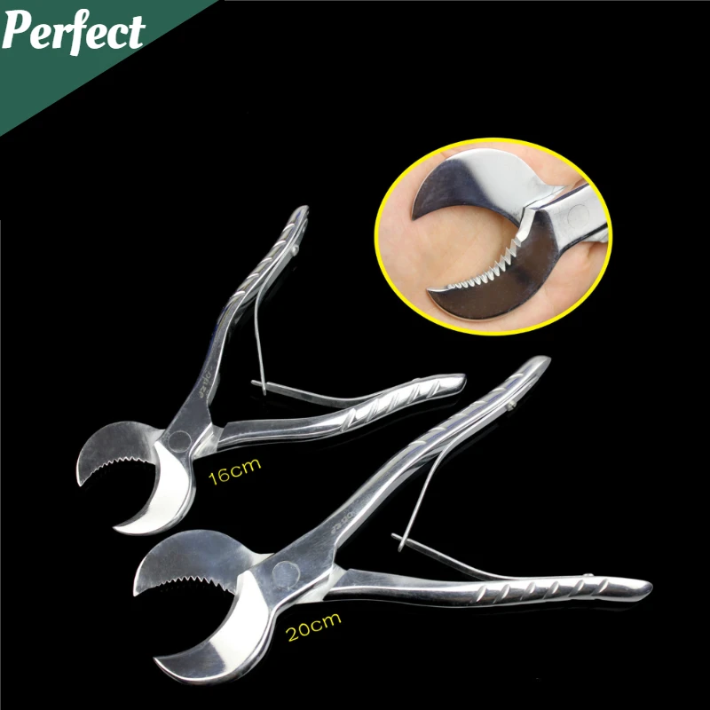 

Dental Lab Plaster Shears Scissor 2 Sizes Dental Equipment Tool Cost Effective To Operate Stainless Steel Gypsum Plaster Scissor