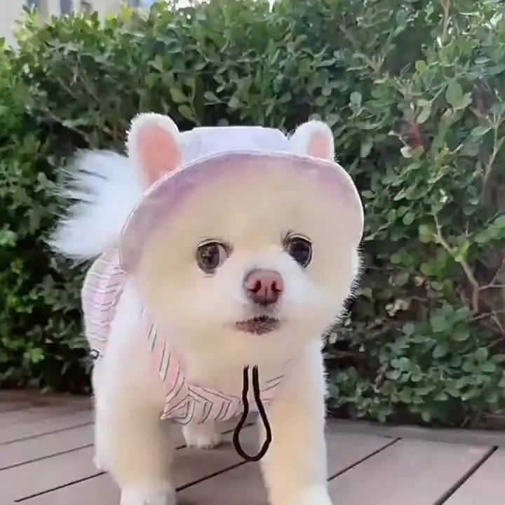 Cappello Da Sole Per Cani E Gatti In Velluto A Coste – Leggero, Traspirante, Taglie S/M/L/XL, Colore Rosa, Protezione UV