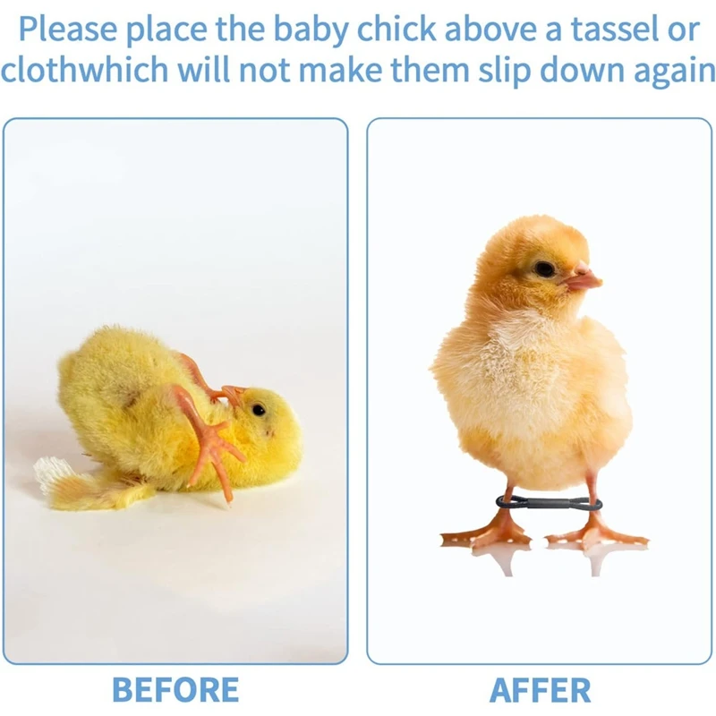 Plastic Poultry Leg Clips 100PCS Baby Chicken Splay Leg Hobble Brace Adjustable Poultry Leg Bands For Newborn Spraddle Chick Bird Quails Ducks 2280782 100PCS Baby Chicken Splay Leg Hobble Brace Adjustable Poultry Leg Bands For Newborn Spraddle Chick Bird Quails Ducks