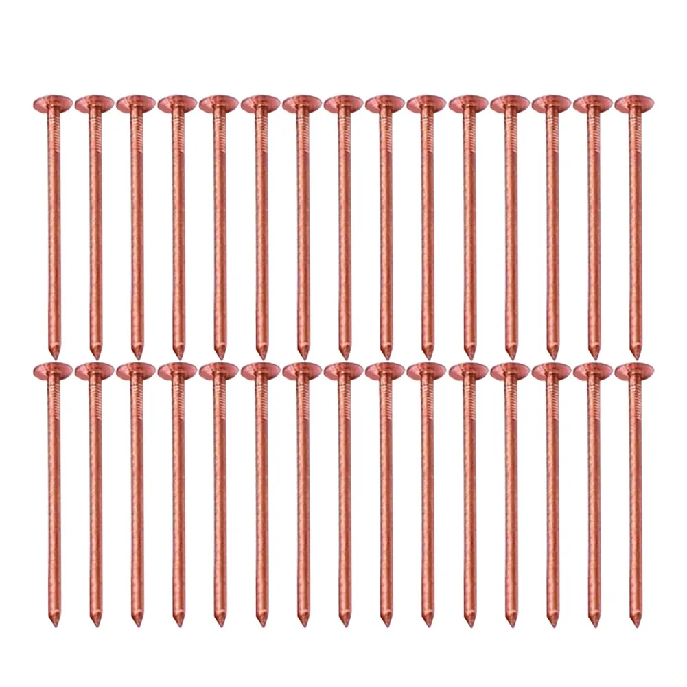 Effective Root Elimination Copper Tree Stump Killer Fast Acting Solution Large Sizes Available Non-Disturbing Method