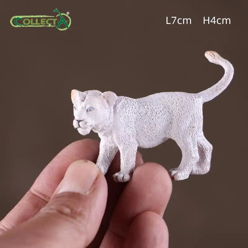 コレクタカブライオンライオネスシミュレートされた動物モデル