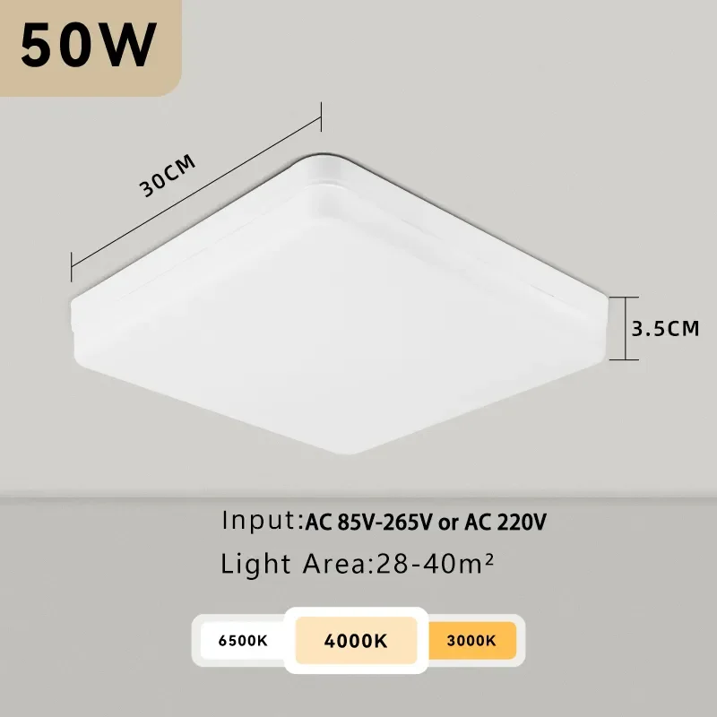 Fixed light 50W 1pcs