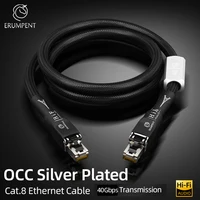 High Speed Silver Plated Cat 8 Network Cable 40Gbps 2000MHz Anti-Interference with Shield HiFi Audio RJ45 Ethernet LAN Cable
