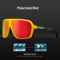 Polarized- 08