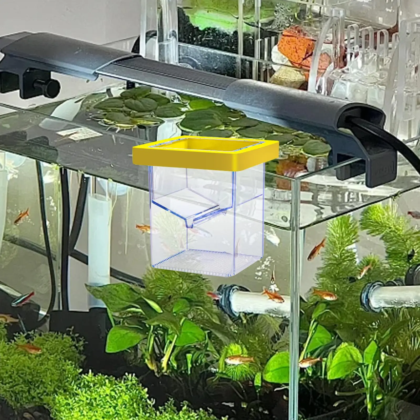 Aquarium Breeder Box Fish Isolation Box Floating Aquarium Breeder Feeder Hatchery Hatching Box for Guppy Fish Shrimp Betta