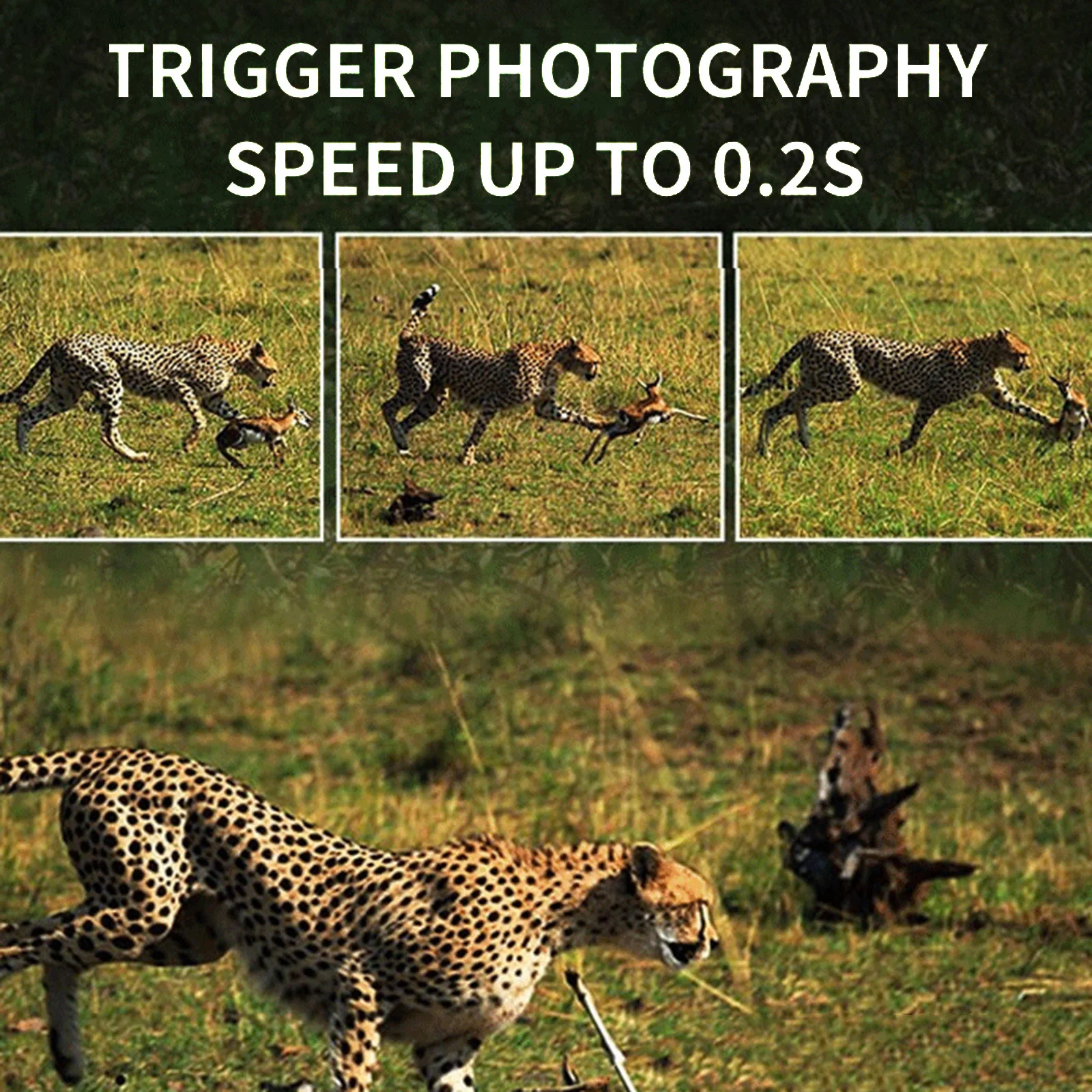 Motion Activated Hunting Camera Clear Color Photos and 1080FHD Videos for Wildlife Observation Home Security and Surveillance