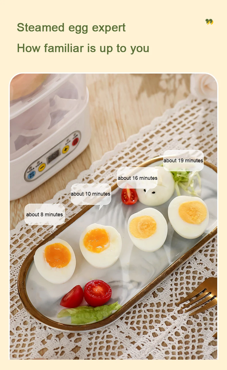 Automatic Electric Egg Cooker – Daily Dart