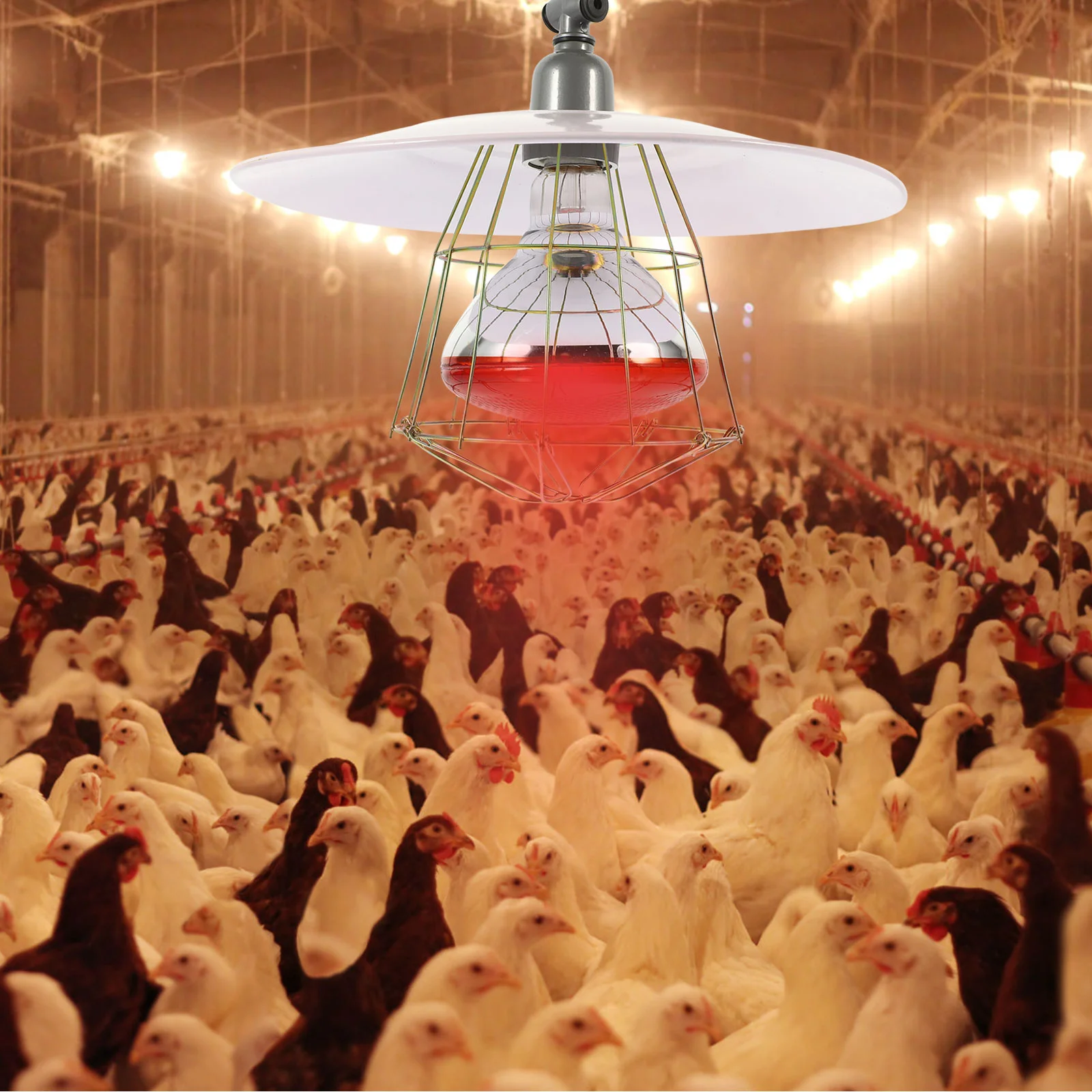 

250W Livestock Incubator Box Heating Lamp Little Pig Cage Pet Lizard Warmer Light Pet Warming Lamp 30x20x10cm Random Color