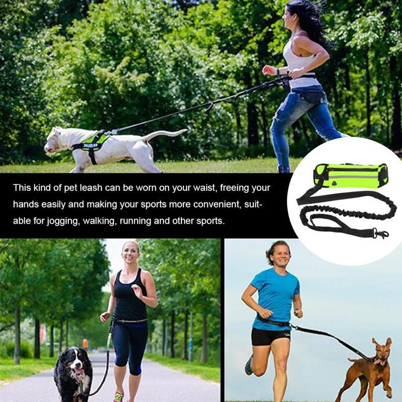 

Waist Bag Set Hands-free Sports Belt Nylon Material Outdoor Running and Dog Walking Stretchable Elastic Band Leash Puppy Harness