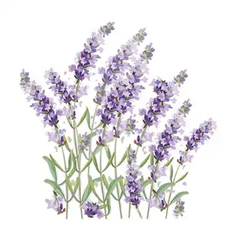 Waterproof Toilet Sticker Purple Flower Toilet Lid Decoration Decal Removable Waterproof Pvc Wall Art for Room Bathroom Lavender 6