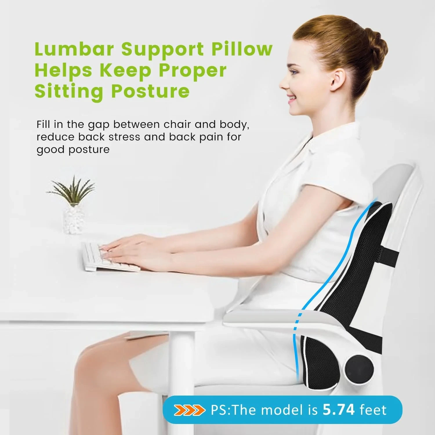 Ergonomic Memory Foam Lumbar Support Cushion for Office Chairs and Car Seats