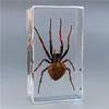 Real Insect Bug Specimen Taxidermia Clear Large Bug Epoxy Resin Spiders Beetles Large Insect Scorpion Specimen Craft Decoration 6