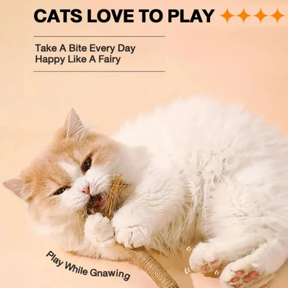 Title 13, Cat Toys Cleaning Teeth Silvervine Chew Stick P...