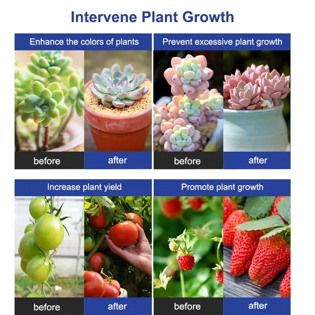 50/100/200/300W Led Grow Világos Teljes Spektrum Növény Növekvő Könnyű Fitolamutó Lámpák Beltéri Növények Virág Palántákhoz - Image 5