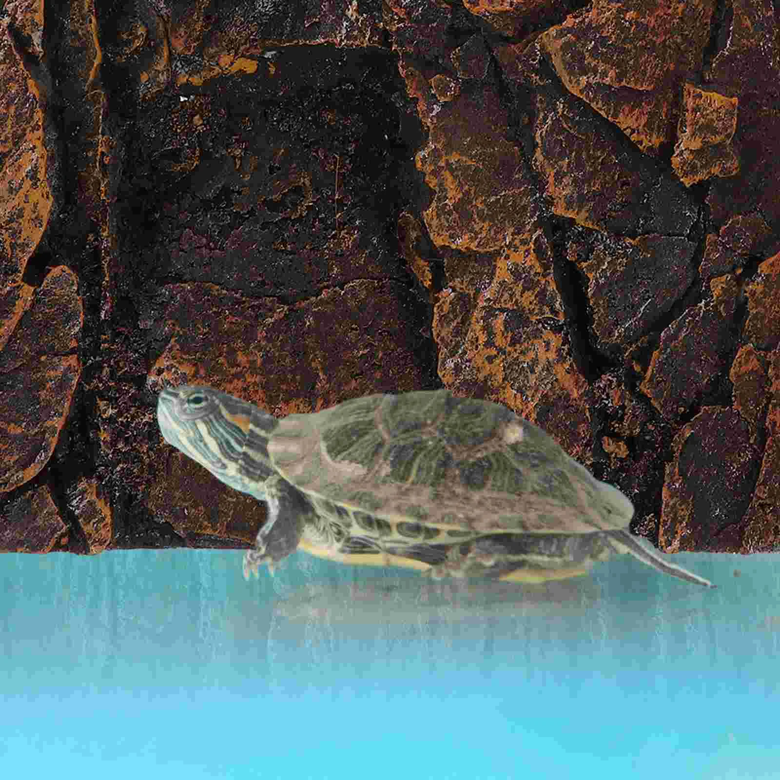 

Reptile Box Backdrop Aquarium Décor Snake Habitat Decoration Background for Tank Crawl Fish Pu Boards Bowl
