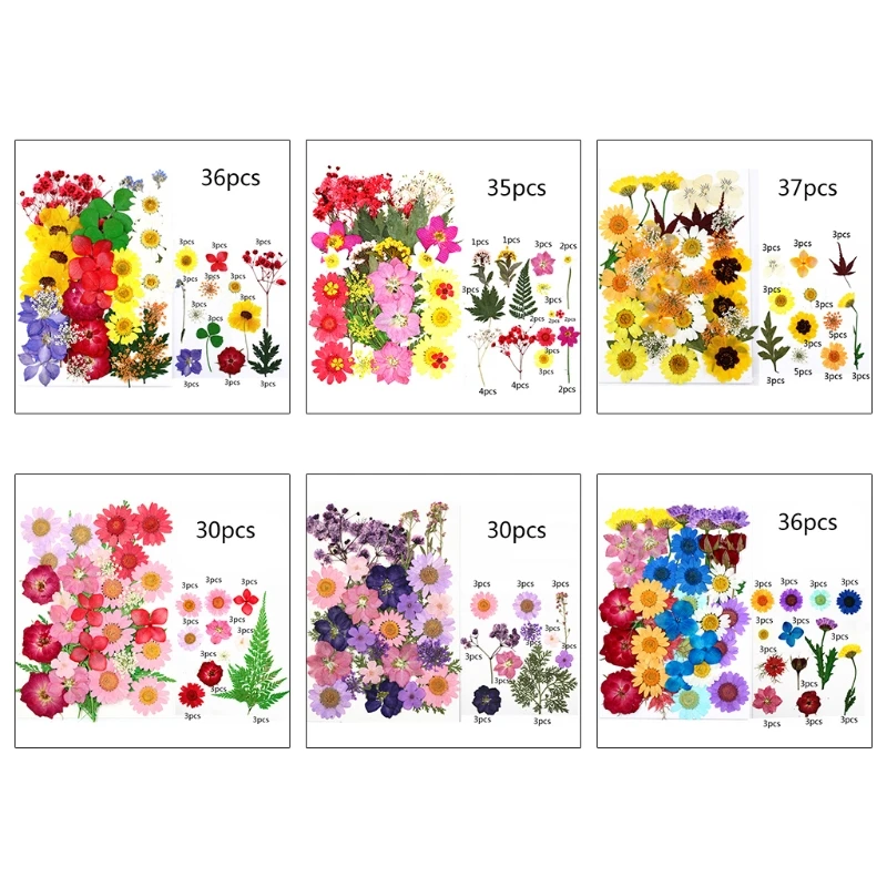 Pressed Leaf Flower Herbs Resin Beauty Art Decals for Scrapbooking