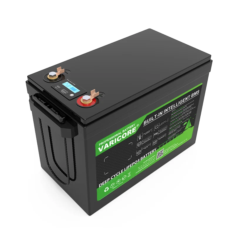 Batteria Ricaricabile al Litio LiFePO4 24V 100Ah 8s per Veicoli Elettrici, Camper, Golf Cart, Auto da Viaggio, Batterie per Accendisigari, Caricabatterie 29.2V - immagine 5