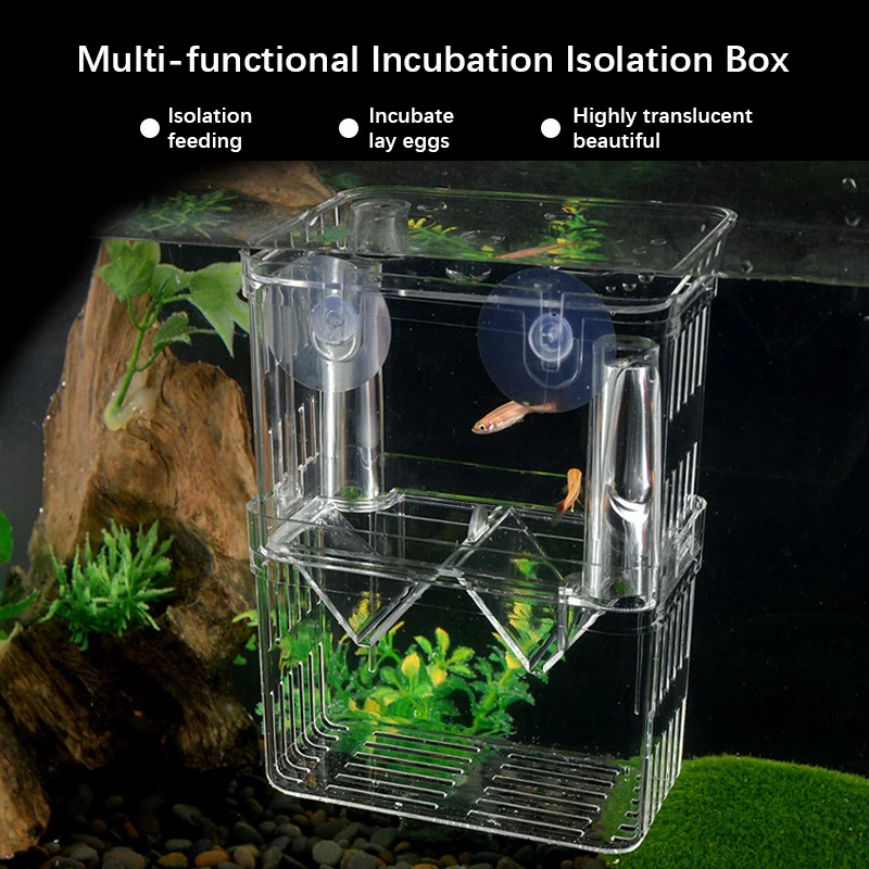 Aquarium Peacock Fish Incubator Breeding Box Acrylic Isolation Box Tropical Hatchery Spawner Alec Tank Betta Fish Separate fish aquarium fish breeding box