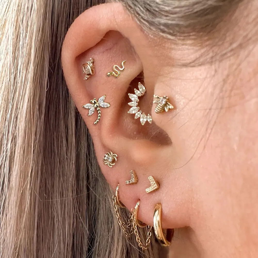 Daith Tragus Helix Ohrpiercing Zirkon Ohrstecker Kette Lappen Hoop Ohrring Knorpel Septum Edelstahl Piercing Schmuck