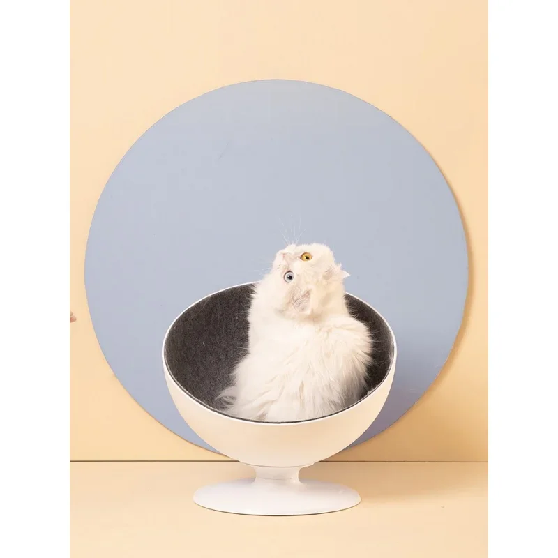 Tail Life Cat Owner Net Red Nest Four Seasons General House Summer Kitten