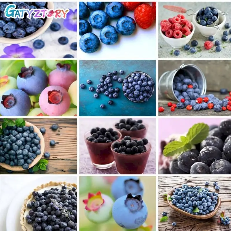 

GATYZTORY Diy Pictures By Numbers Kits For Adults Blueberries fruit Handpainted Art Gift Animals Oil Painting By Number Framed