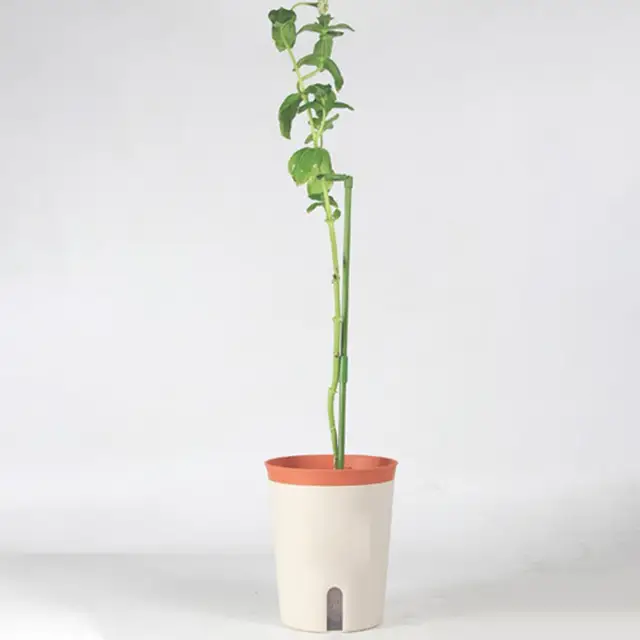 Növénytáblák A Kötés Elleni Nyitó Tartótámogató Növények Formáló Mászó Keret Edényállványa Az Orchidea Számára - Image 4