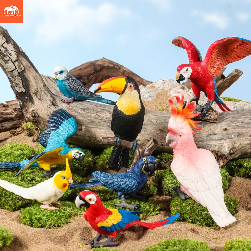Realistische Vogelfiguren-Set - Papageien-Lernspielzeug für Kinder Simulierte Plastik-Tiermodelle Tierfiguren-Sammlung