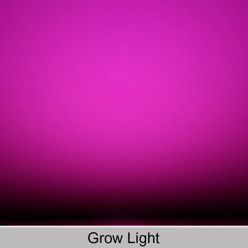 Grow Light