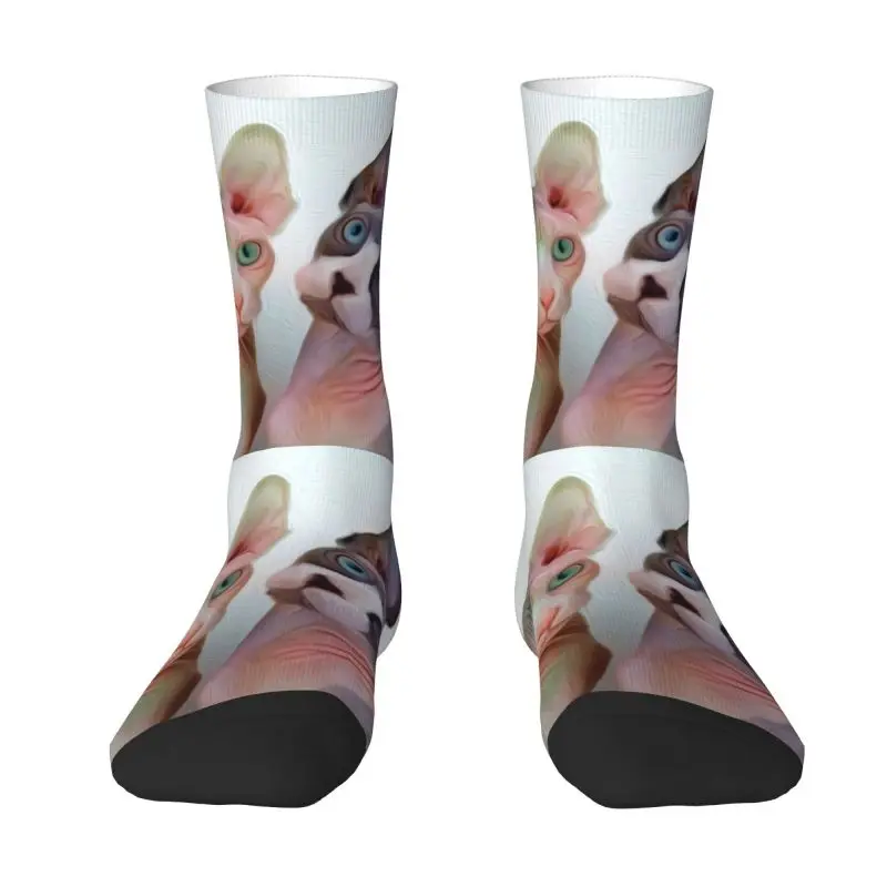 

Fun Printing Sphynx Cat Oil Painting Buddie Socks for Women Men Stretchy Summer Autumn Winter Cartoon Anime Kitten Crew Socks