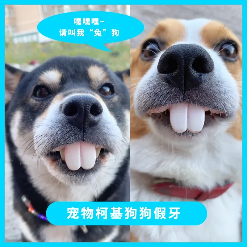 

Протезы корги для домашних животных, игрушка-кролик, зубы спереди, протезы для зубов, смешная забавная игрушка, зубы кролика, игрушки для крупных собак
