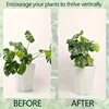 Plant Stabilizer Plant Holder For Supporting Monstera And Flowers Plant Support 6