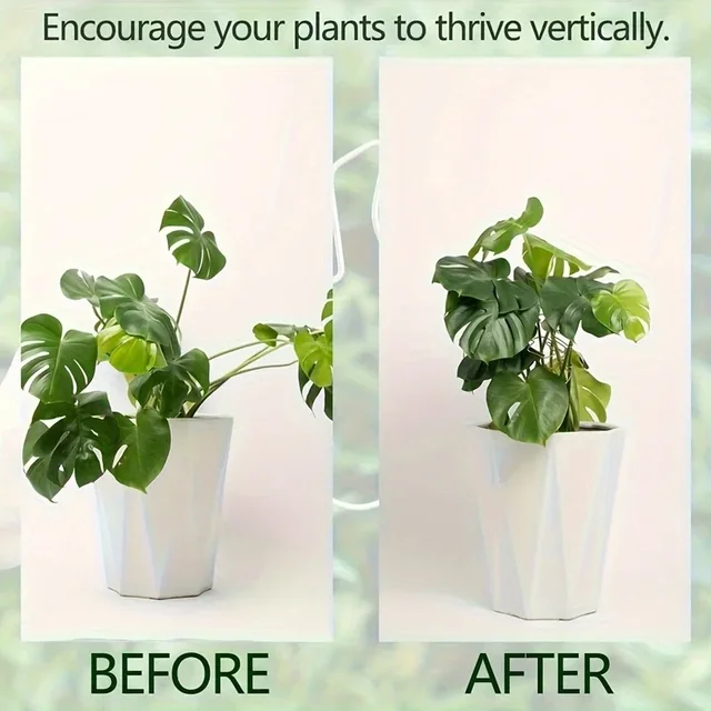 Plant Stabilizer Plant Holder For Supporting Monstera And Flowers Plant Support 6