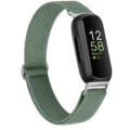 Avocado green