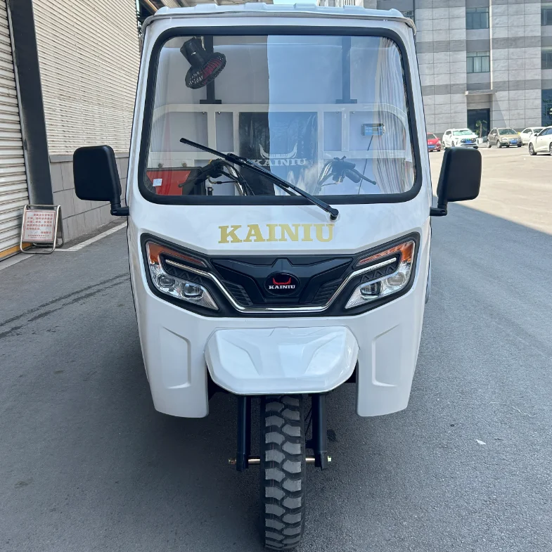 2025 Best Seller Factory Direct Sales KAINIU Closed Cargo With Refrigerator Tricycle 8℃~-18℃ Adjustable Tricycle Motorcycle - Image 2